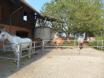 Paddock3